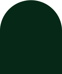 stratys-couleur-vert-foncé